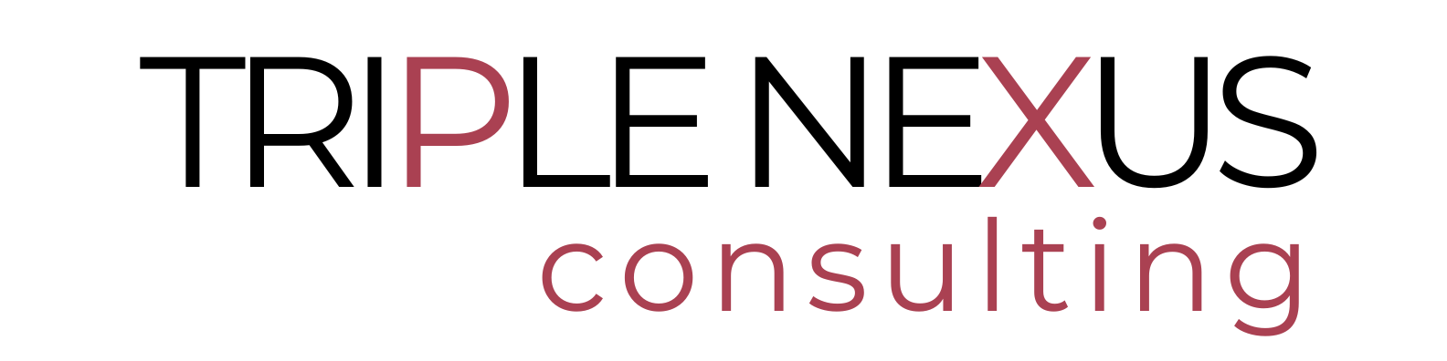 Triple Nexus Consulting